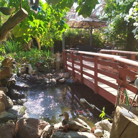 Lotus Turtle Garden Eilat Apartment Exterior foto
