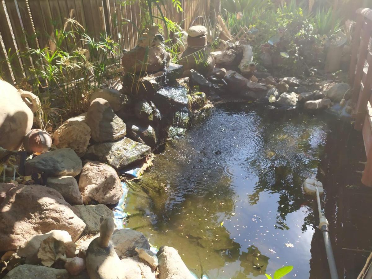 Lotus Turtle Garden Eilat Apartment Exterior foto